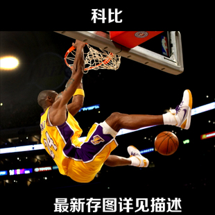 德拉瓦大学Diploma in Business Management